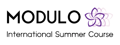 the logo of the Modulo International Summer Course